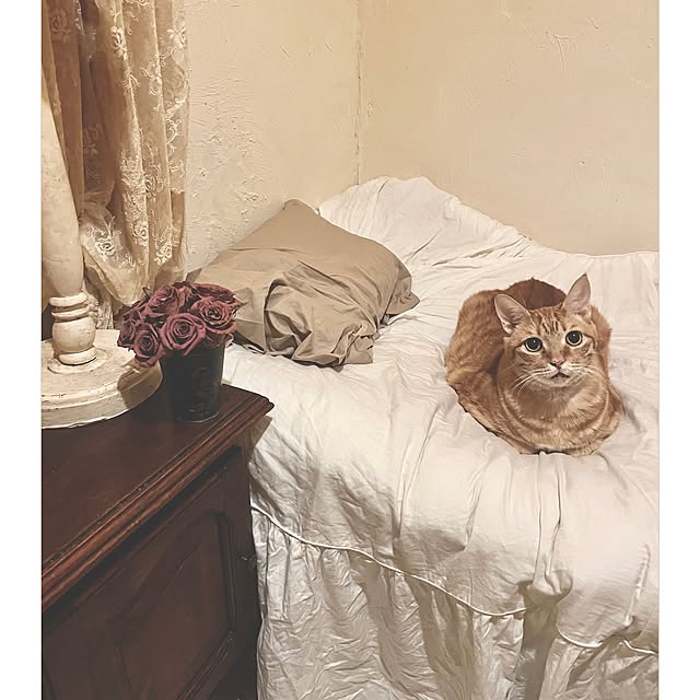 ataさんの実例写真