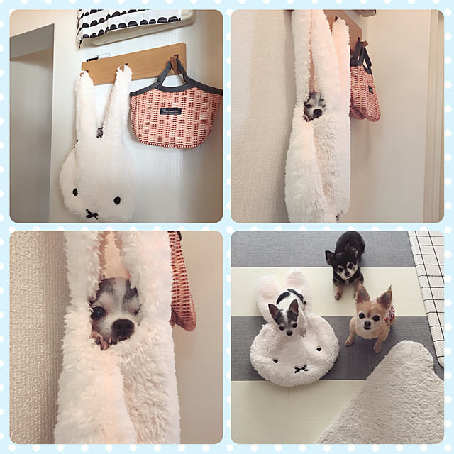 Emiさんの実例写真