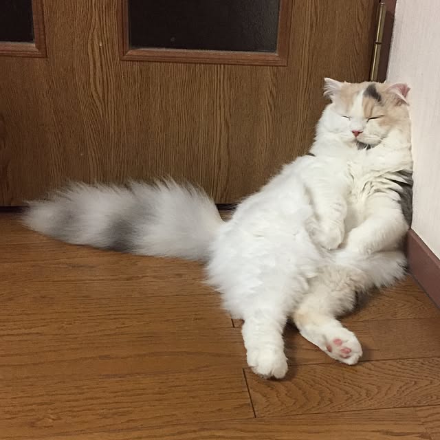 keibooさんの実例写真