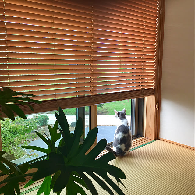 Atsukoさんの実例写真