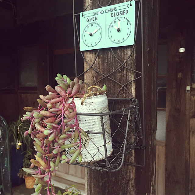 kenamiさんの実例写真