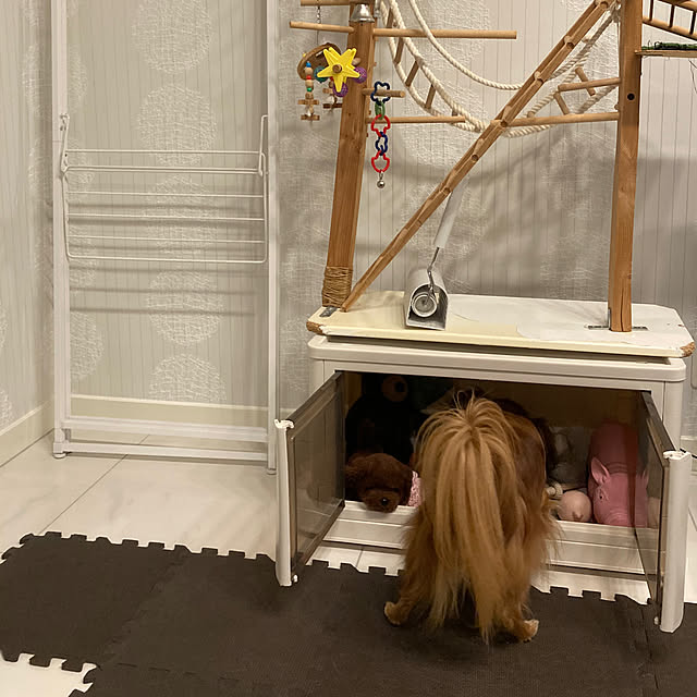 toratanさんの実例写真