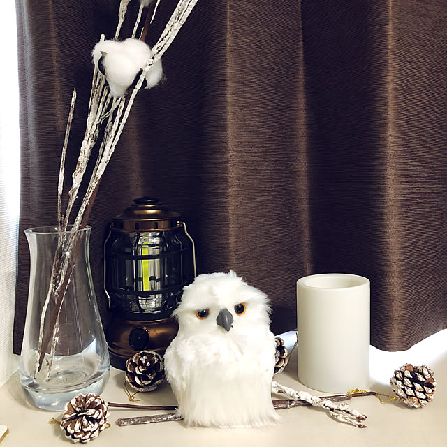 marumaruさんの実例写真