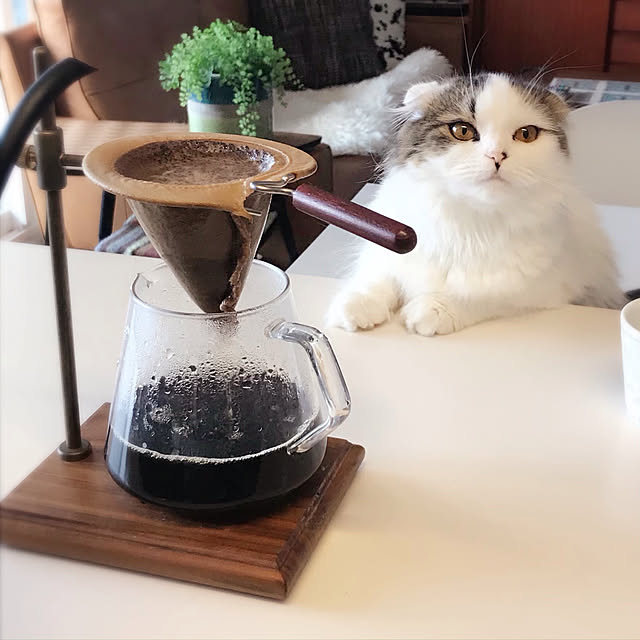 m.さんの実例写真