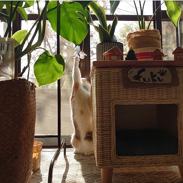 fukuさんの部屋