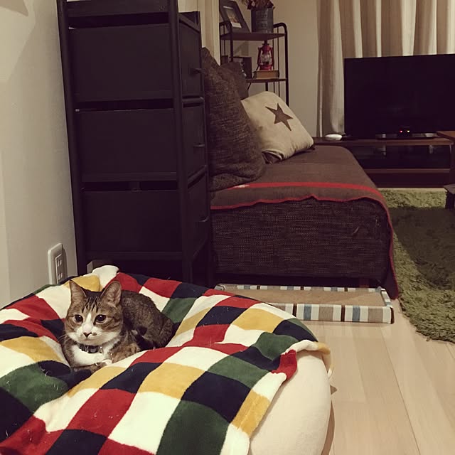 ayapiiiiceさんの実例写真
