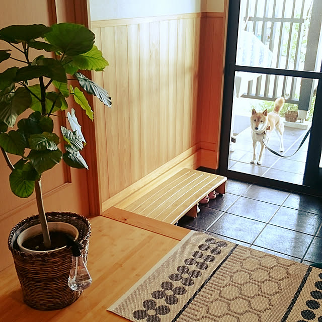 wakaba223さんの実例写真