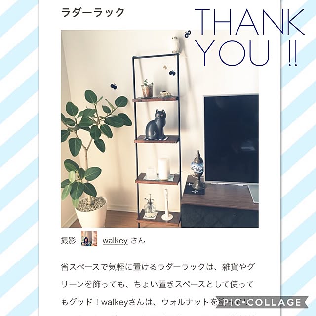 walkeyさんの実例写真