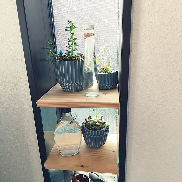 Mikaさんの実例写真