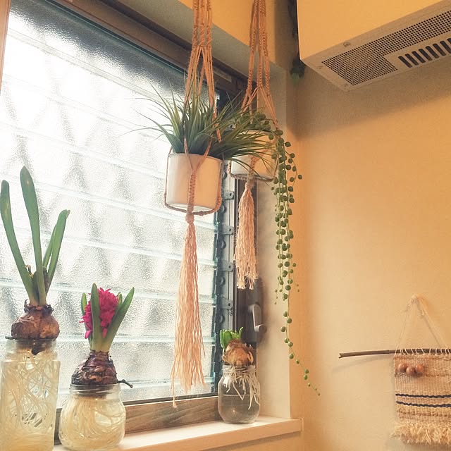 sayaさんの実例写真