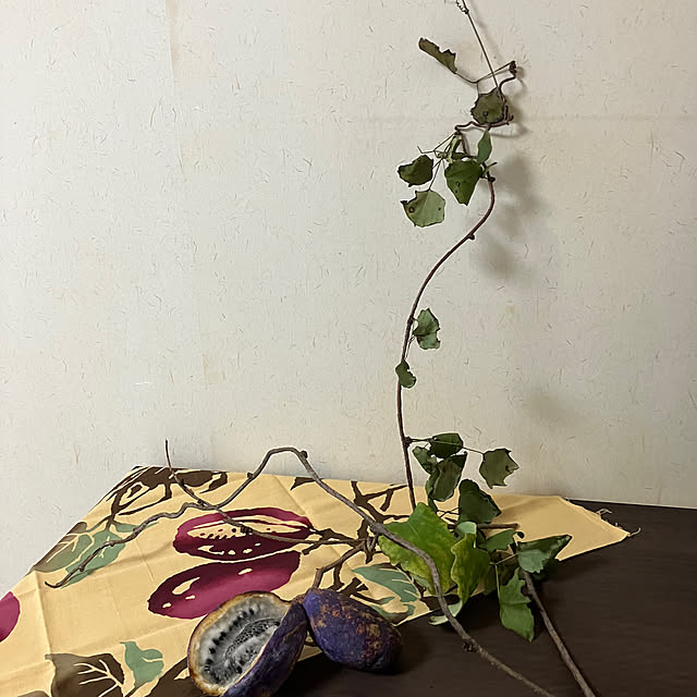 ikubooさんの部屋