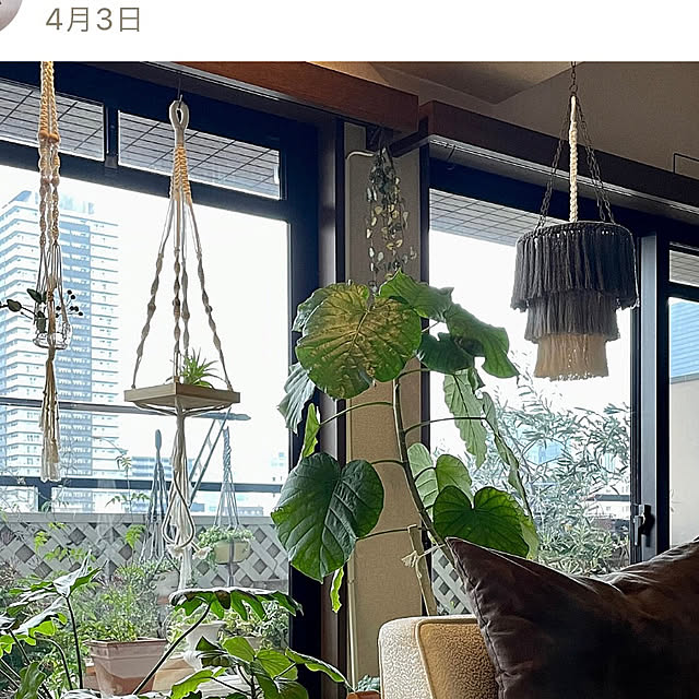 momo_sanさんの部屋