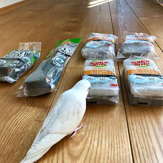 paruさんの実例写真