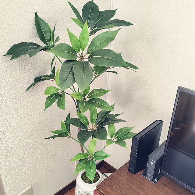 mamachiyさんの実例写真