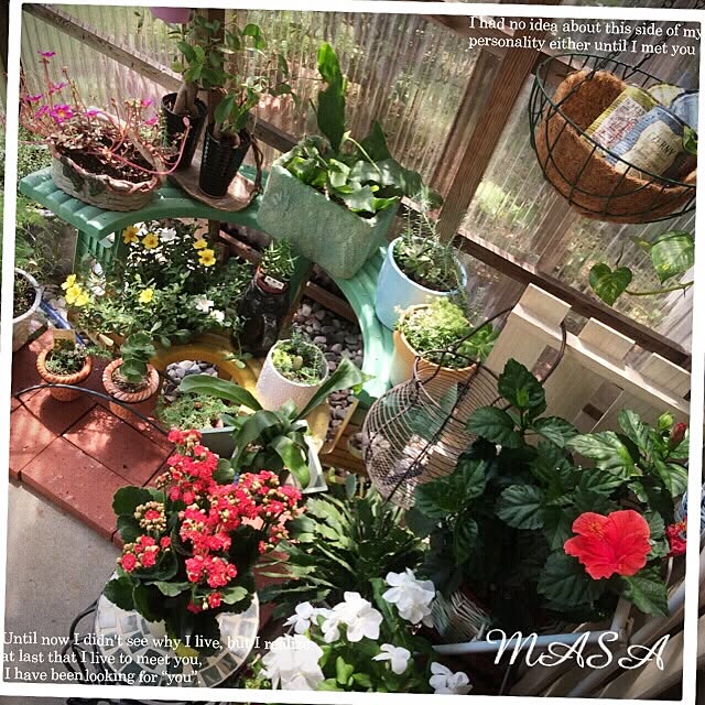 MASAさんの実例写真