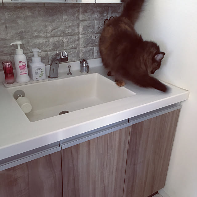 mikomaruさんの実例写真