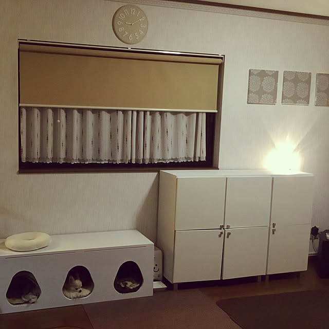 splush1219さんの実例写真