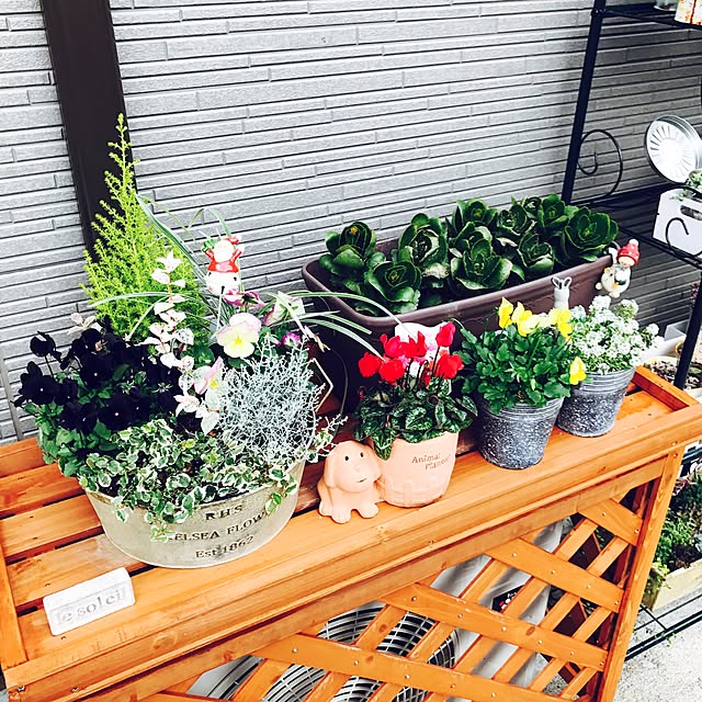 mizuさんの部屋