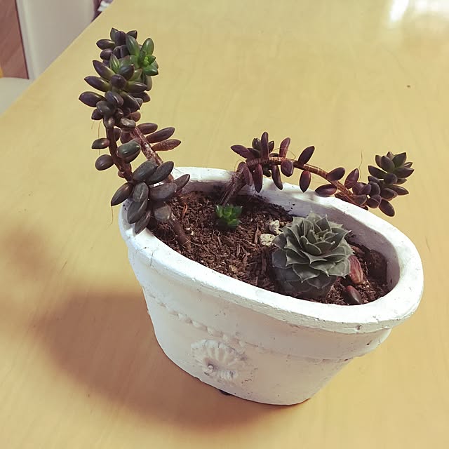wpodysさんの実例写真