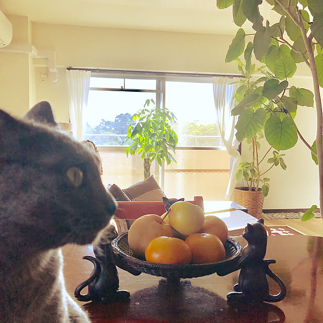 73さんの実例写真