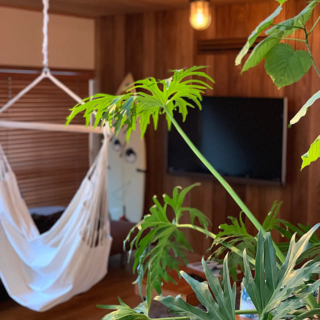 hiro1220さんの実例写真