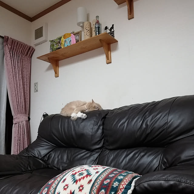comatsu_naさんの実例写真