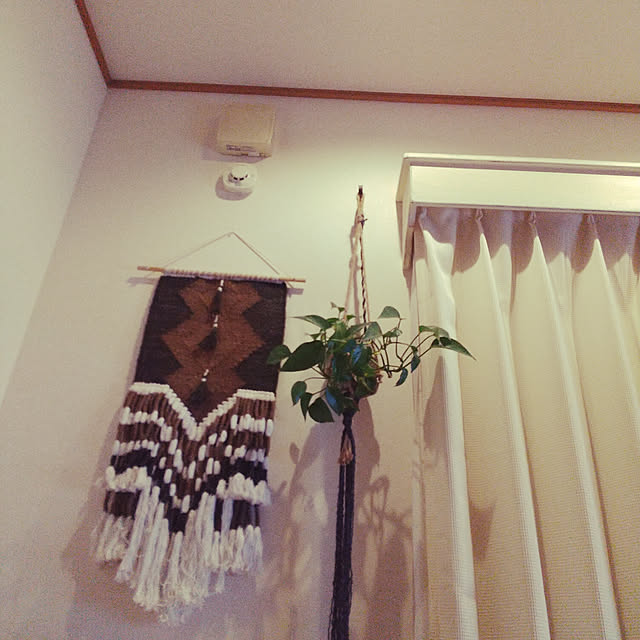 505050さんの実例写真