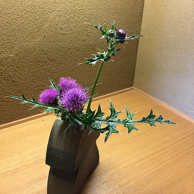 花びん/玄関/入り口のインテリア実例 - 2021-06-19 17:54:51