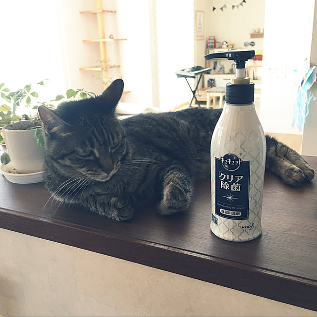 samisoさんの実例写真