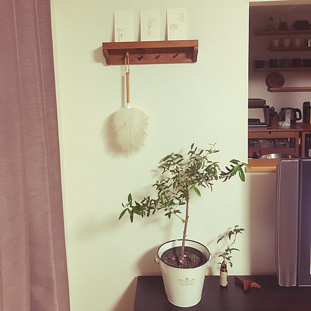 katamona1129さんの実例写真