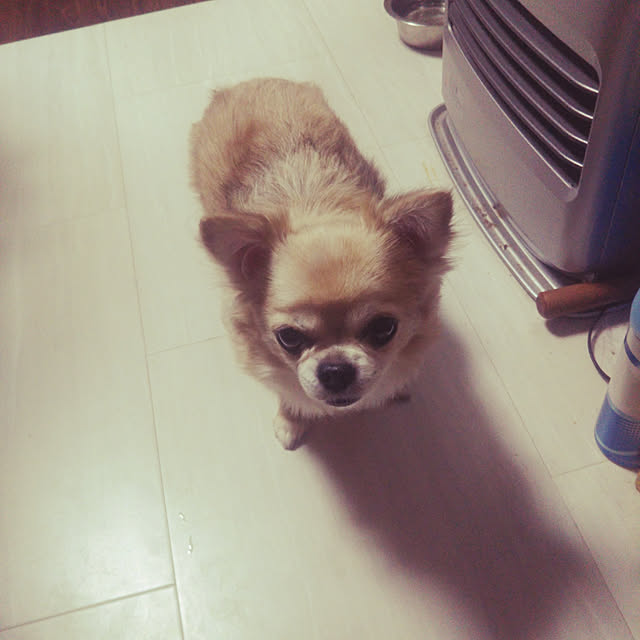 kiraさんの実例写真
