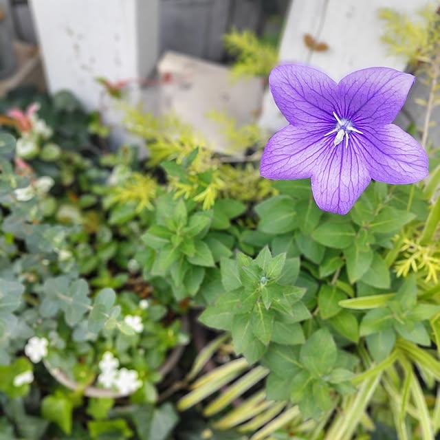 Haさんの部屋