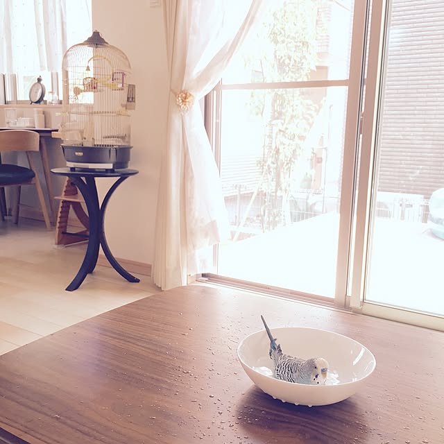 ecoさんの実例写真