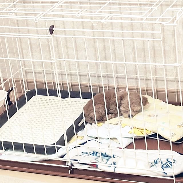 ffさんの部屋
