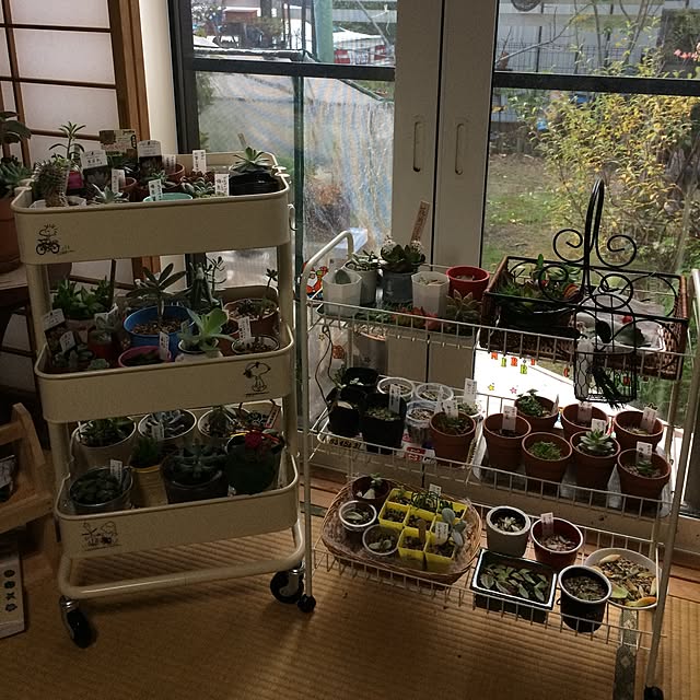 naoさんの実例写真