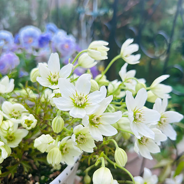 sunabaさんの実例写真