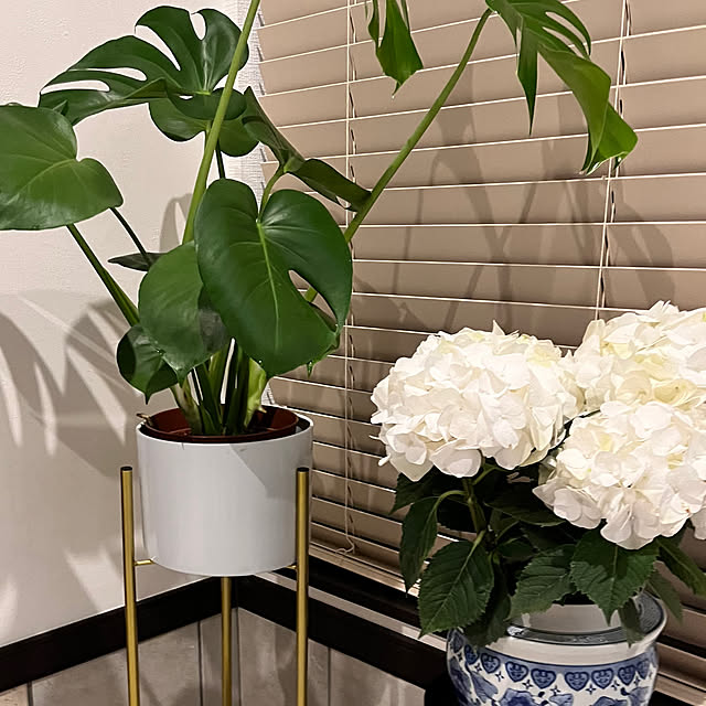 Happyさんの部屋