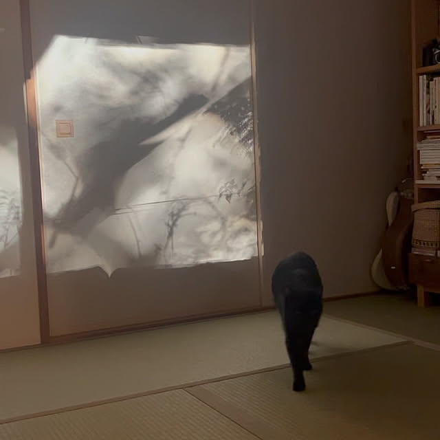 poemeさんの実例写真