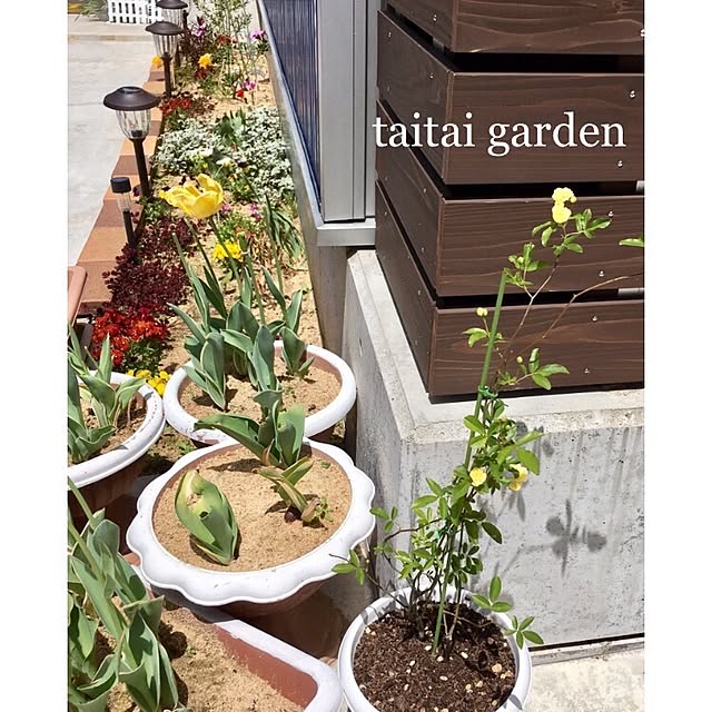 taitaiさんの実例写真
