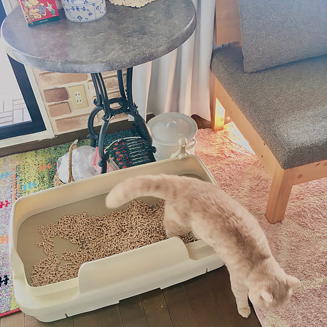 naokoさんの実例写真