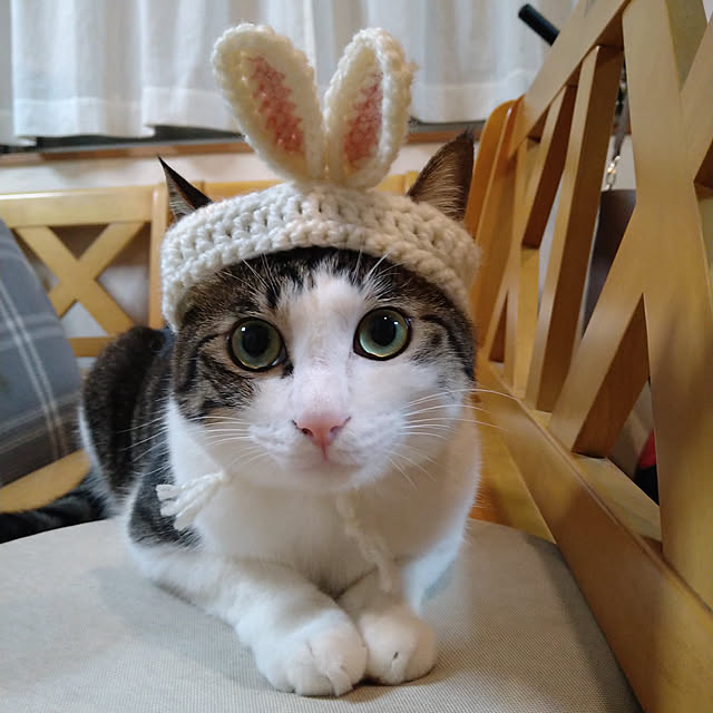 mikisunさんの実例写真