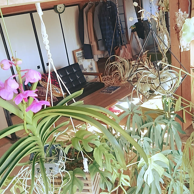 takenさんの実例写真