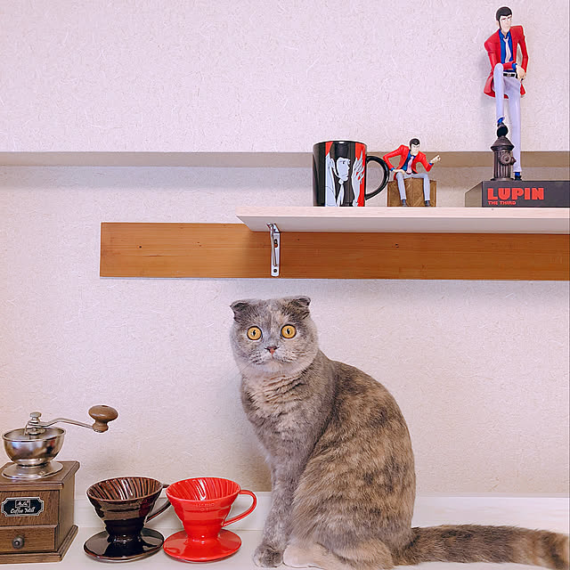 0729kaiさんの実例写真
