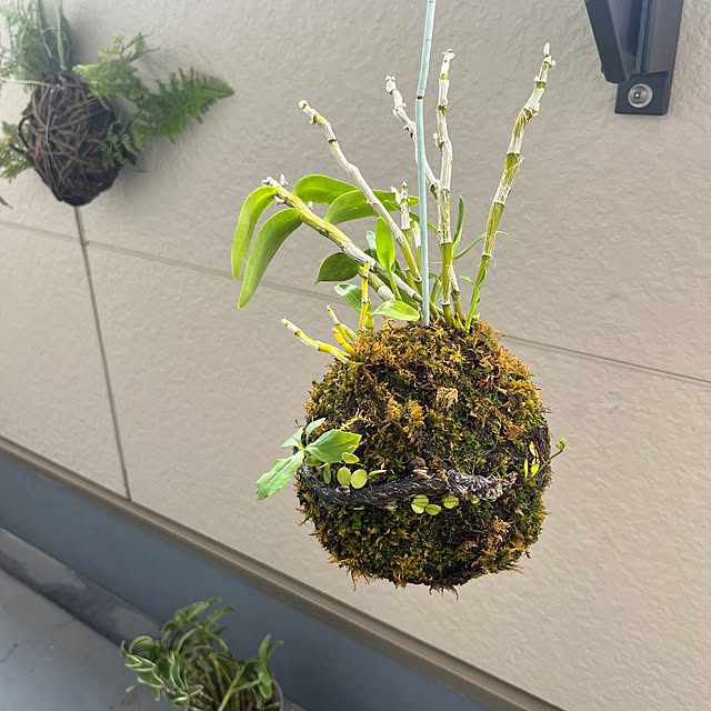 flowerさんの実例写真