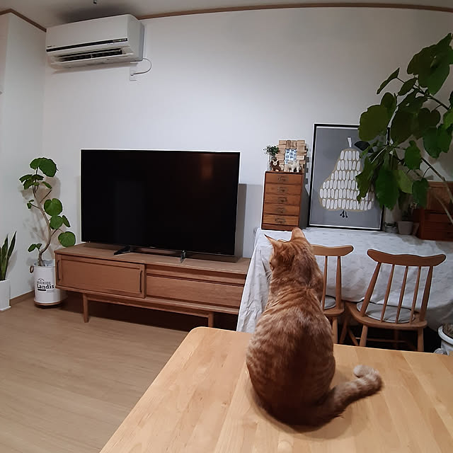 nanairo_さんの実例写真