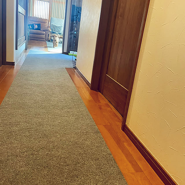 yukichi.wanwaさんの実例写真