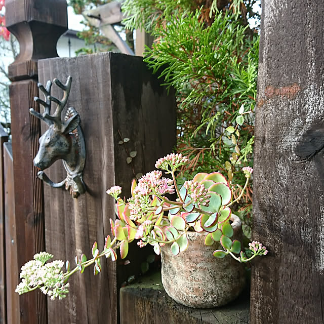 demetanさんの実例写真