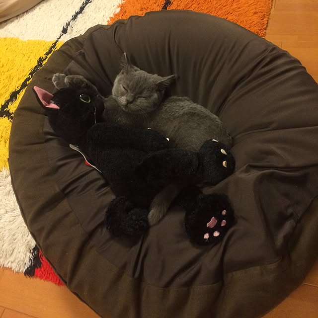 Shojiさんの実例写真