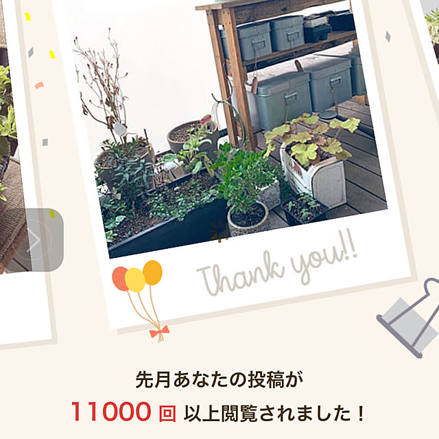 WhiteWitch_lwmさんの実例写真