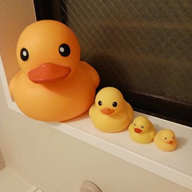 mizukingyoさんの部屋